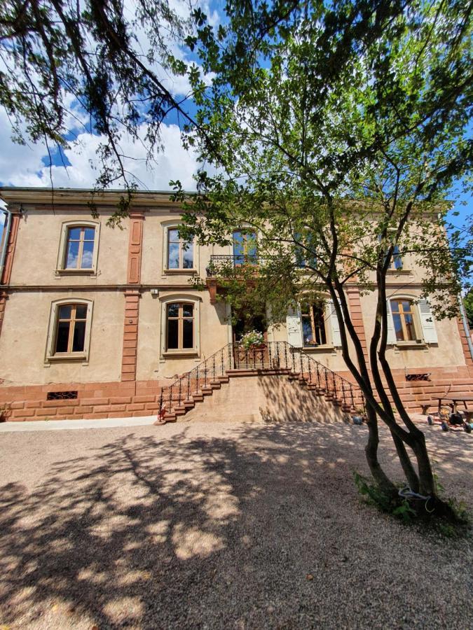Sojolidays - Appartements D'Hotes Sur La Route Des Vins D'Alsace Rorschwihr Zewnętrze zdjęcie